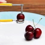 Εργαλείο Αφαίρεσης Κουκουτσιών