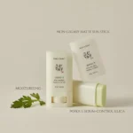 Beauty of Joseon Matte Sun Stick Mugwort & Camellia SPF50+ 18g - Image 5